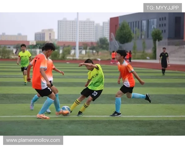 亚傅体育：开展丰富多彩的体育活动，激发青少年的运动兴趣与潜能开发